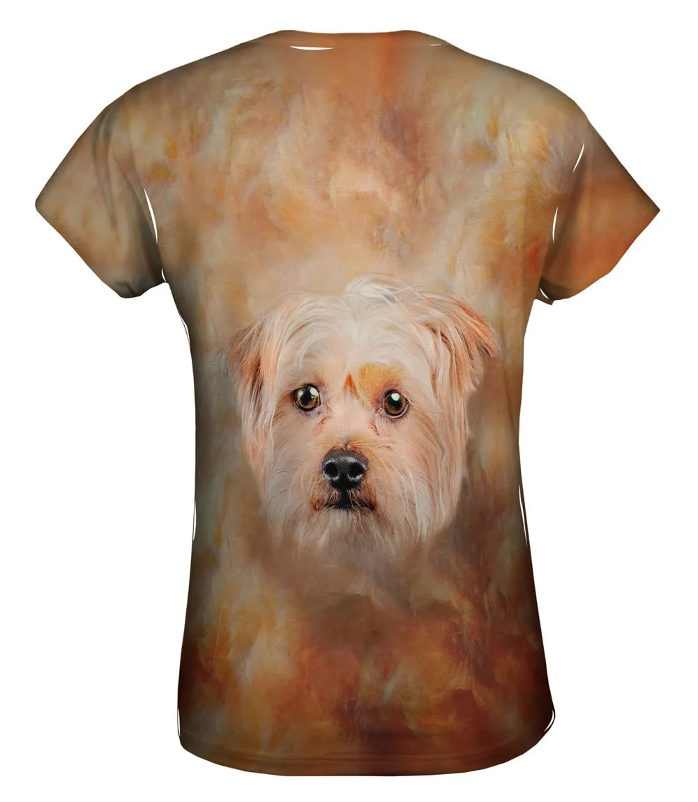 Cute Yorkie Face